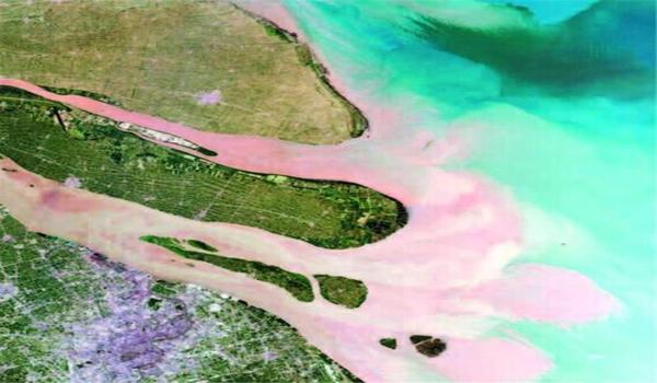 三角洲行动辅助器免费最新版手游（给我三角洲行动辅助器的直接下载链接）